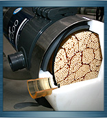 click pentru marire foto - Servicii generale 9