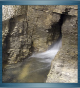 click pentru marire foto - Servicii generale 1